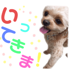 [LINEスタンプ] りんくそ