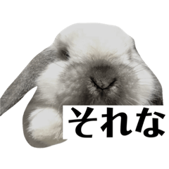 [LINEスタンプ] ビーさんスタンプ
