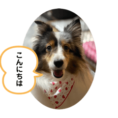 [LINEスタンプ] まりんVer.4