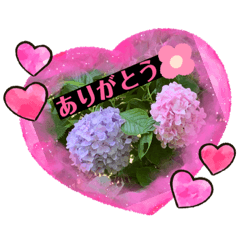 [LINEスタンプ] お花の挨拶スタンプ3