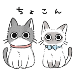 [LINEスタンプ] ねこのこきょうだい