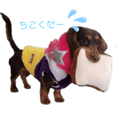 [LINEスタンプ] 愛犬とあちゃん♫①