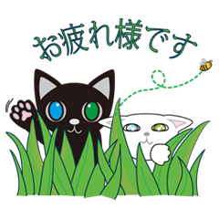 [LINEスタンプ] オッドアイの猫たち