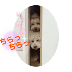 [LINEスタンプ] 陽気な3プー☆no2