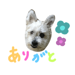 [LINEスタンプ] マックス・アオすたんぷ