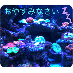[LINEスタンプ] あいさつ日常使える