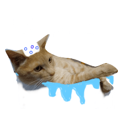 [LINEスタンプ] ネコだって1言