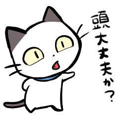 [LINEスタンプ] お調子ものの白猫スタンプ