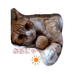 [LINEスタンプ] にゃ〜す