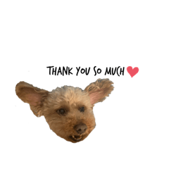 [LINEスタンプ] ミスターるい。3