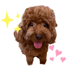 [LINEスタンプ] アロンとサナの生活ver.4