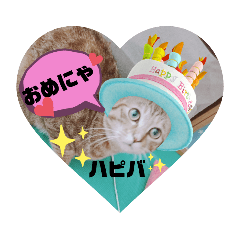 [LINEスタンプ] kikiちゃん(ФωФ)2