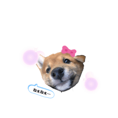 [LINEスタンプ] どーも、だいずです。01