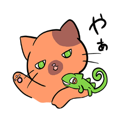 [LINEスタンプ] 猫とカメレオン