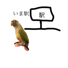 [LINEスタンプ] ぴーちゃんとチワックスの画像（メイン）