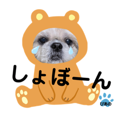 [LINEスタンプ] みことわんこ11