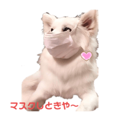 [LINEスタンプ] 愛犬陸