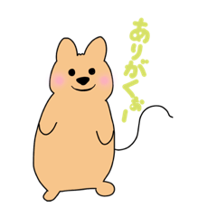 [LINEスタンプ] クオッカのくおくお