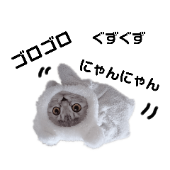 [LINEスタンプ] ねこーん＆白いこねこーん まったり