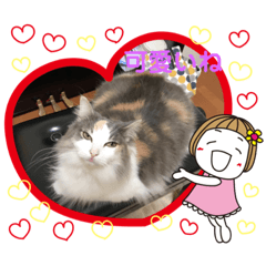 [LINEスタンプ] ももの生活3