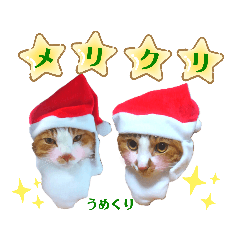 [LINEスタンプ] うめにゃん☆くりにゃん☆2