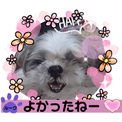 [LINEスタンプ] みことわんこ⑫