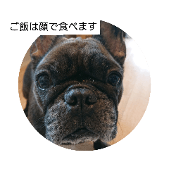 [LINEスタンプ] わん犬フウカさん①