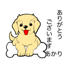 [LINEスタンプ] 看板娘のあかりちゃん