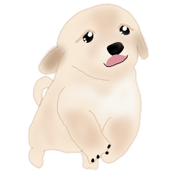 [LINEスタンプ] ほっこりリアル犬 ゴールデンレトリバーの画像（メイン）