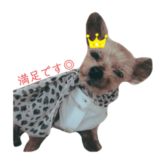 [LINEスタンプ] ももろこスタンプ③