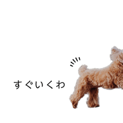 [LINEスタンプ] ランもこ