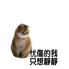 [LINEスタンプ] 星からの猫スターマンマップ