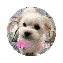 [LINEスタンプ] うちのやよちゃん♂ ②