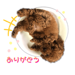 [LINEスタンプ] はっぴーーー.