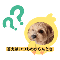 [LINEスタンプ] 長崎弁をしゃべるわんこpart4