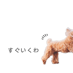 [LINEスタンプ] らんもこスタンプ2