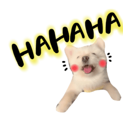 [LINEスタンプ] おハクさんとおマロさん( ・∇・)