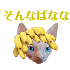 [LINEスタンプ] ぱぶっち。のスタンプ Part1