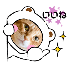 [LINEスタンプ] Ginger Tabby Cat Brothers 7