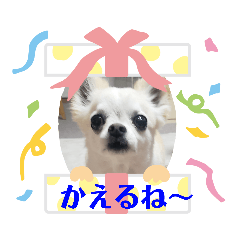 [LINEスタンプ] 帰りま～うに