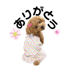 [LINEスタンプ] ペニ子☆日常語④