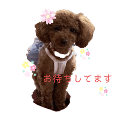 [LINEスタンプ] 可愛い愛月と空とマロン