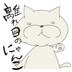 [LINEスタンプ] 離れ目のにゃんこ