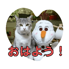 [LINEスタンプ] にゃーん！くーちゃんだよ！