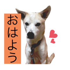 [LINEスタンプ] 名犬ムギ2