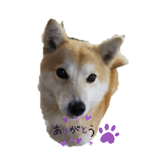 [LINEスタンプ] うれろ！スタンプ