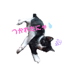 [LINEスタンプ] ナゾなstamp