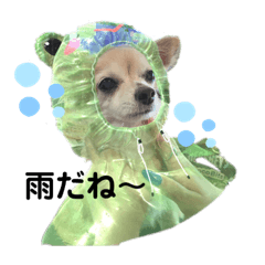 [LINEスタンプ] もりもり島3