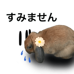 [LINEスタンプ] マロンとリリーのスタンプ