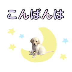 [LINEスタンプ] ラブラドール♡ララ♡④